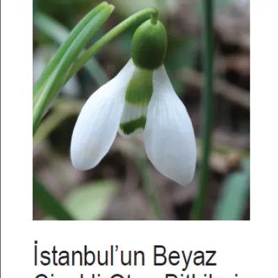 Ürün Görseli