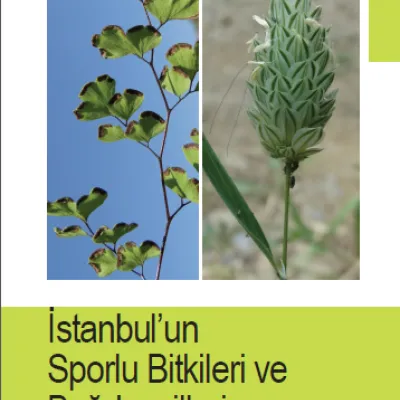 Ürün Görseli