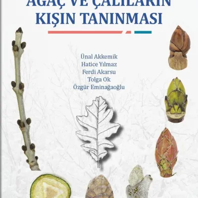 Ürün Görseli